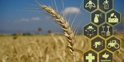 Ứng dụng thực tế của ngành công nghệ blockchain trong nông nghiệp
