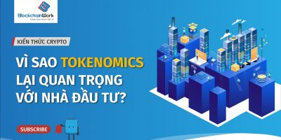 Tokenomics là gì? Vì sao tokenomics lại quan trọng với nhà đầu tư – BlockchainWork