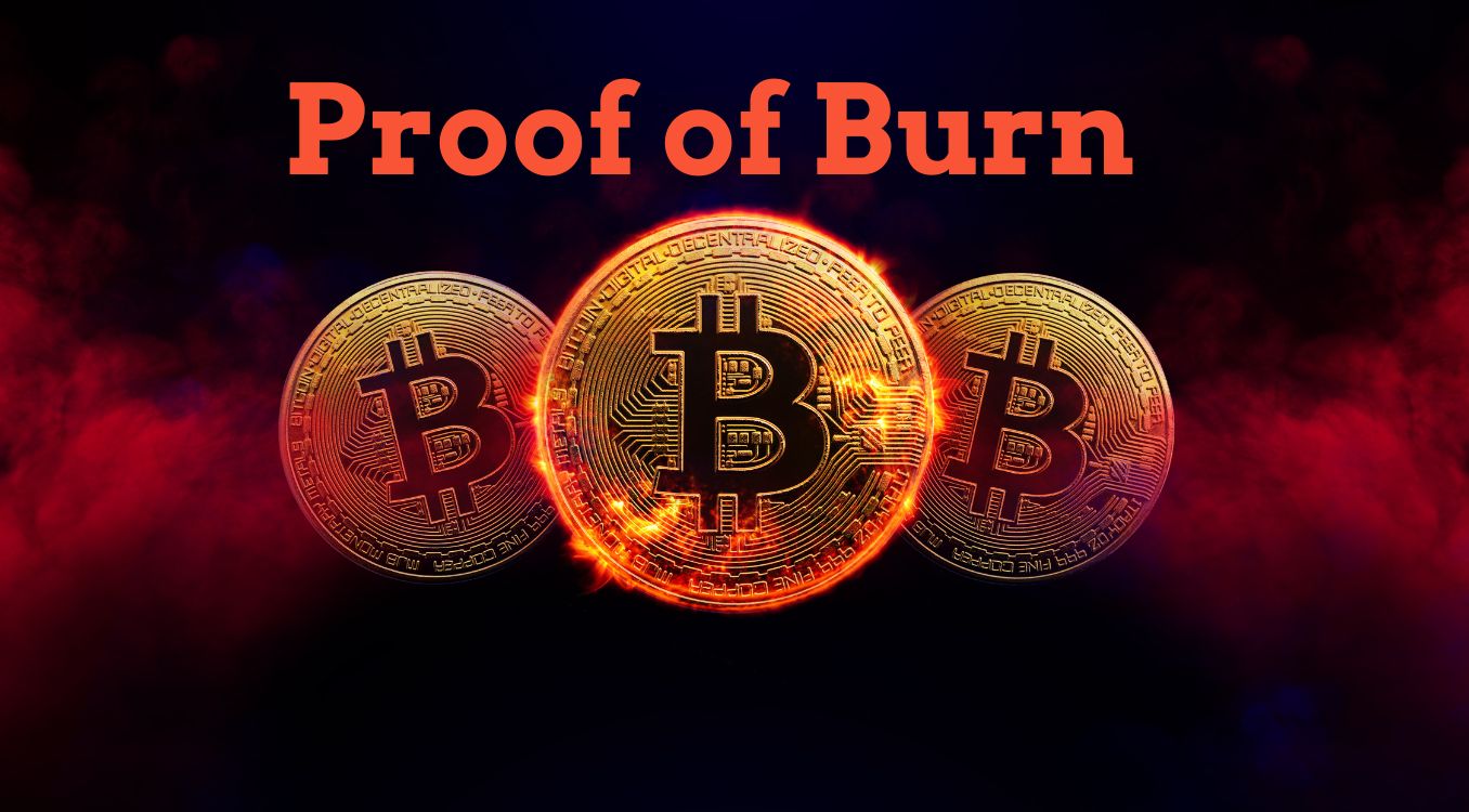 proof of burn cryptocurrency