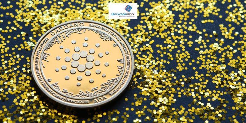 Phân tích chi tiết nền tảng công nghệ phía sau Cardano