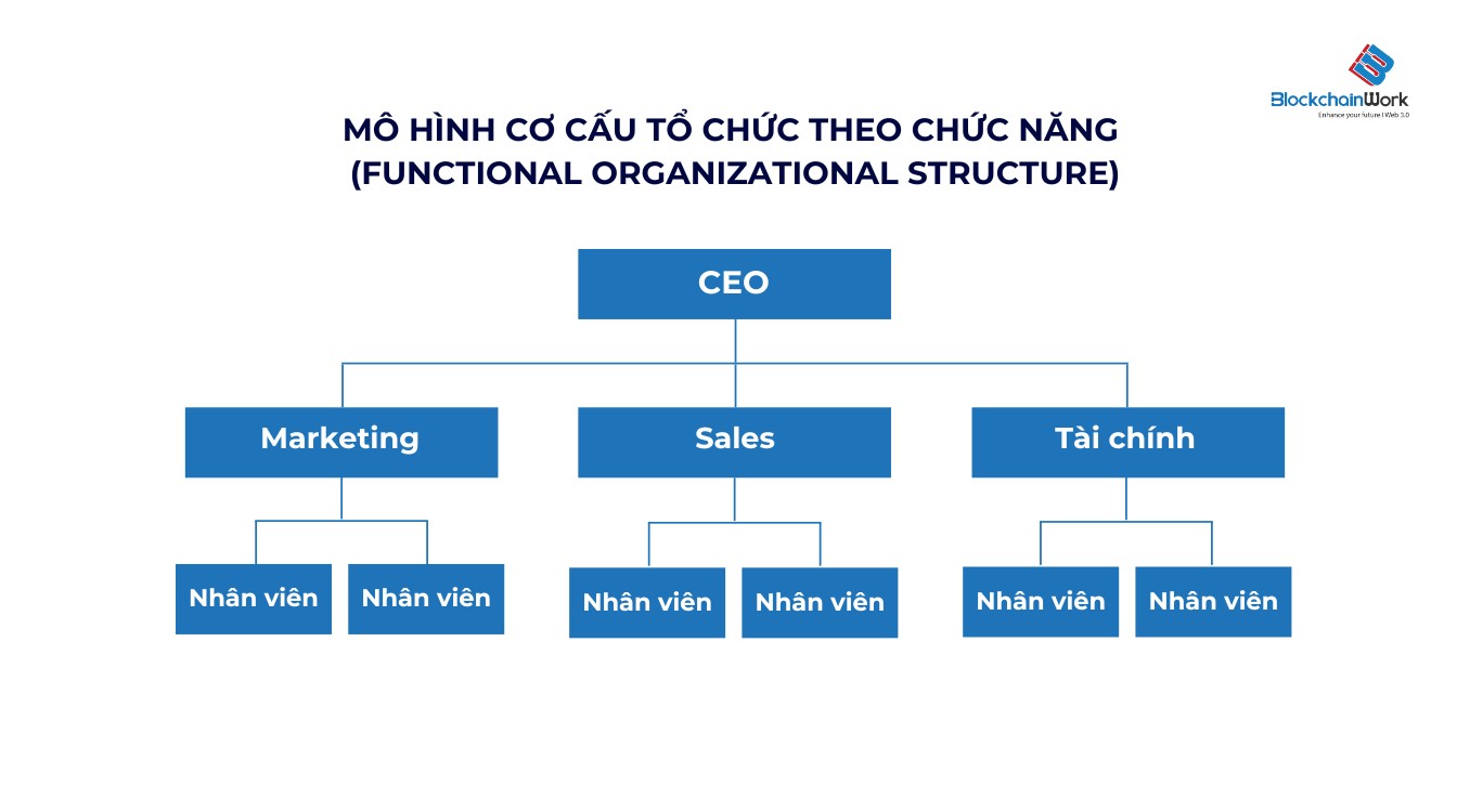 mo-hinh-co-cau-to-chuc-theo-chuc-nang-BlockchainWork