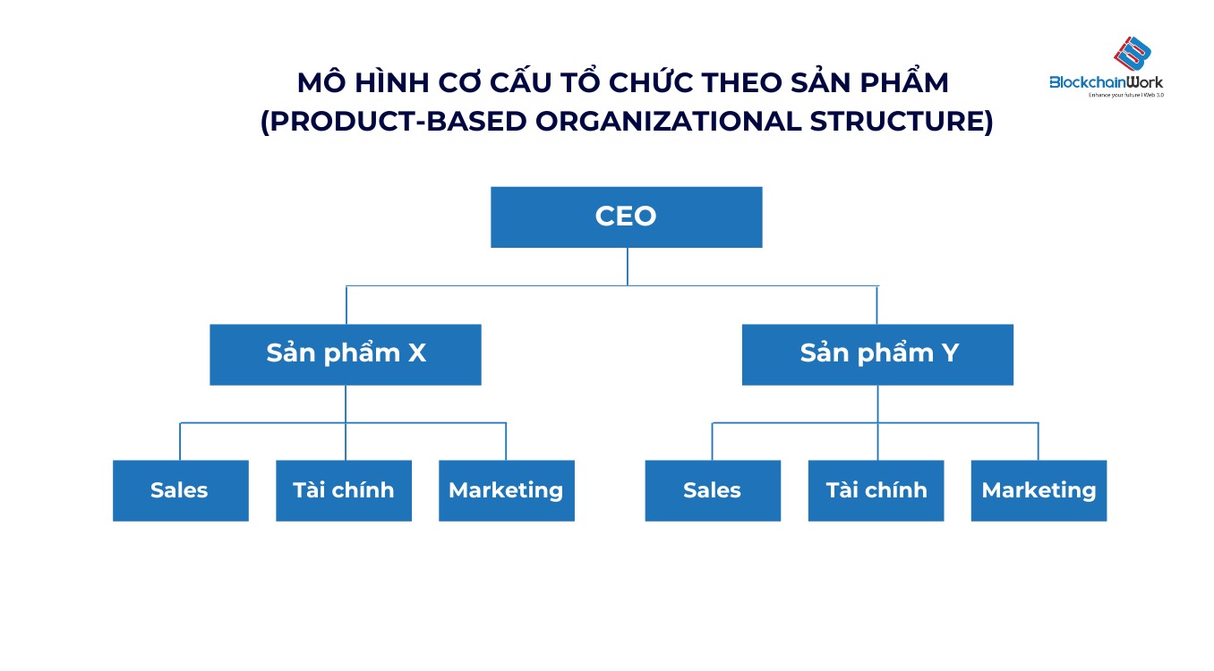 so-dom-mo-hinh-co-cau-to-chuc-theo-san-pham