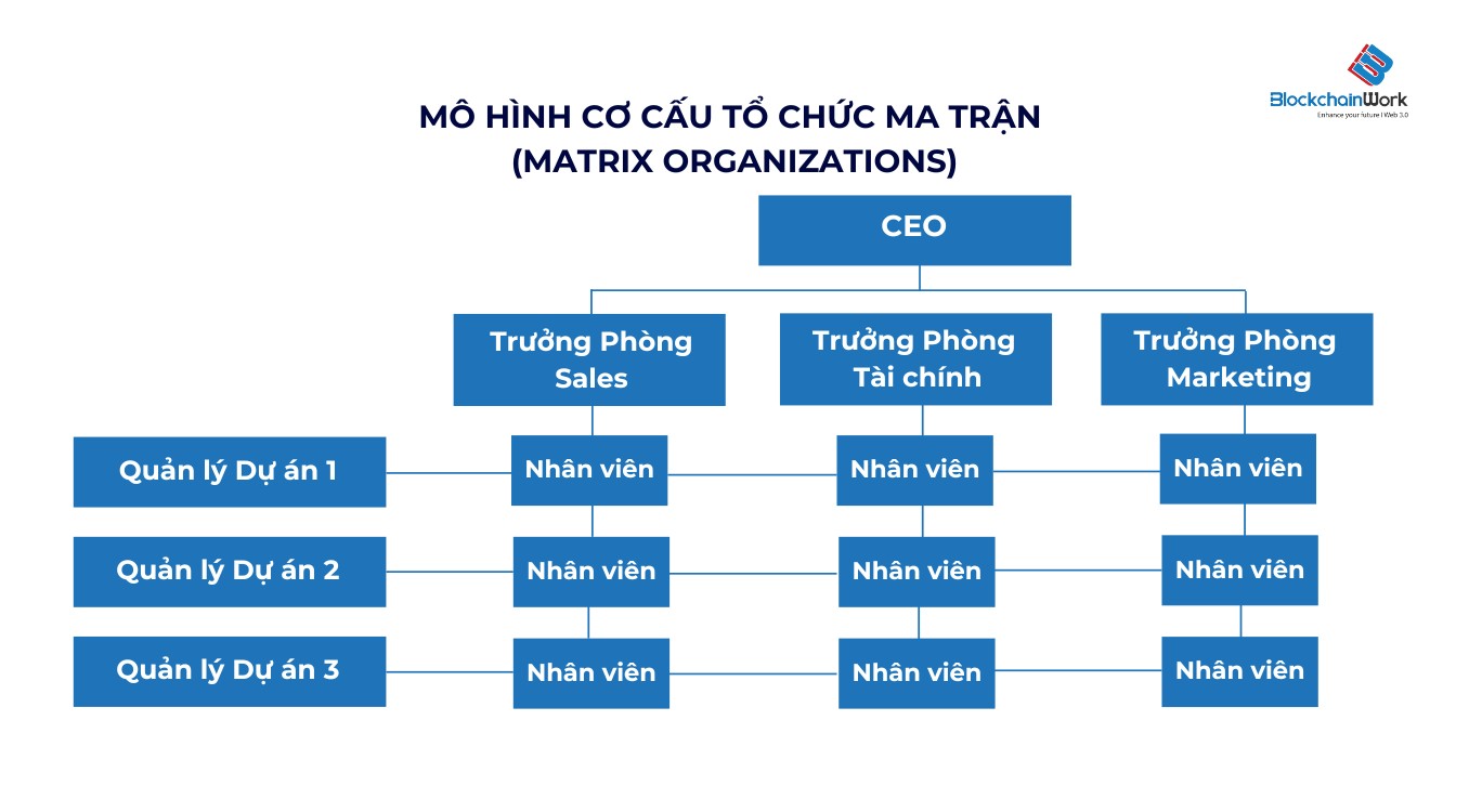 mo-hinh-co-cau-to-chuc-ma-tran