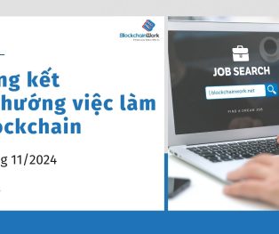 Tổng hợp xu hướng việc làm blockchain tháng 11/2024