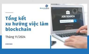 Tổng hợp xu hướng việc làm blockchain tháng 11/2024