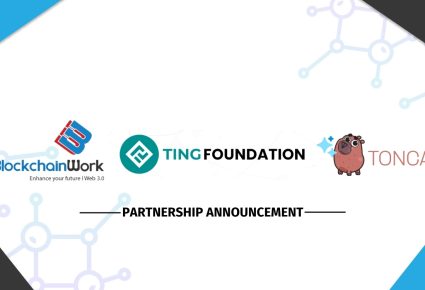 Partnership Announcement: BlockchainWork x Ting Foundation x TonCapy